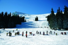 Aleko Ski Area